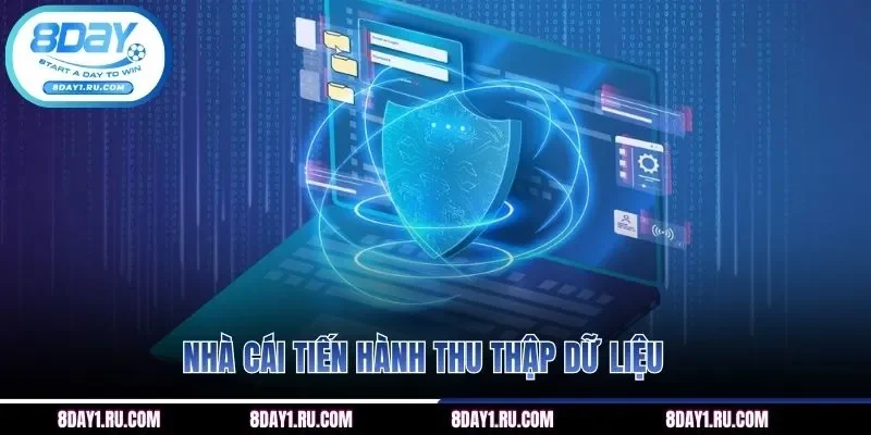 Nhà cái 8DAY tiến hành thu thập dữ liệu