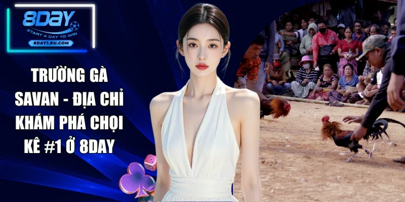 Trường Gà Savan - Địa Chỉ Khám Phá Chọi Kê #1 Ở 8DAY
